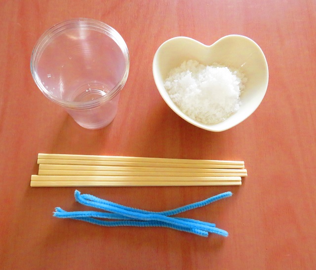 塩の結晶を作る時につかうもの