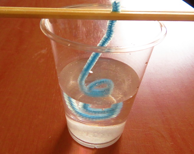 塩の結晶を作る様子