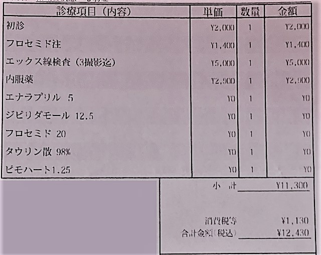 ハムスターの治療費（初診）