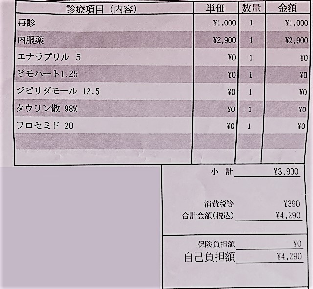 ハムスターの治療費（再診）